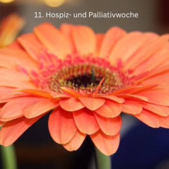 Yoga mit Herz
